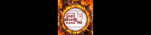 99.9 Punk World Radio FM banner
